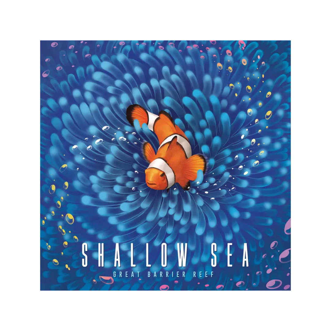 Shallow Sea
