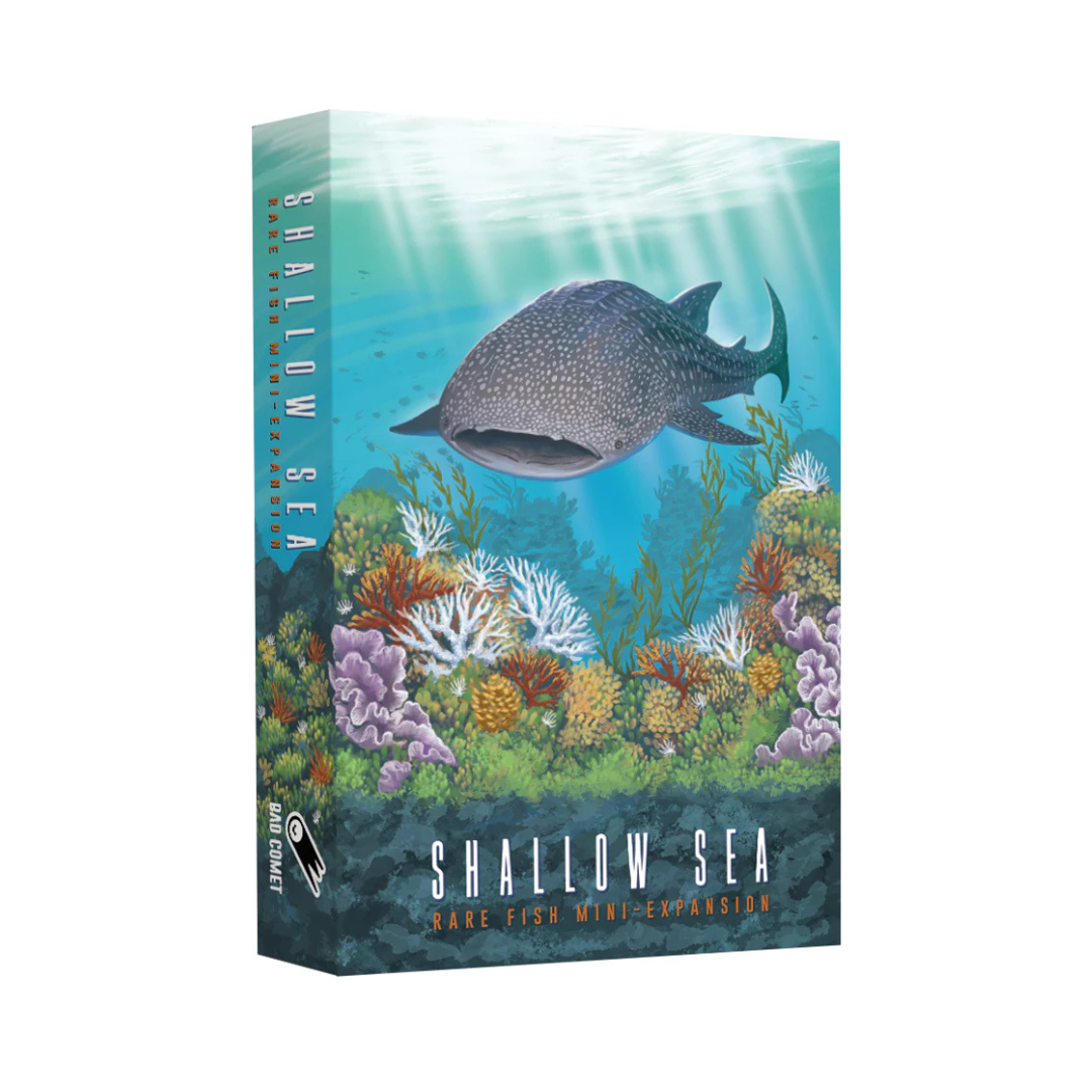 Shallow Sea: Rare Fish